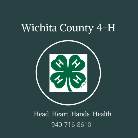 Wichita County 4-H